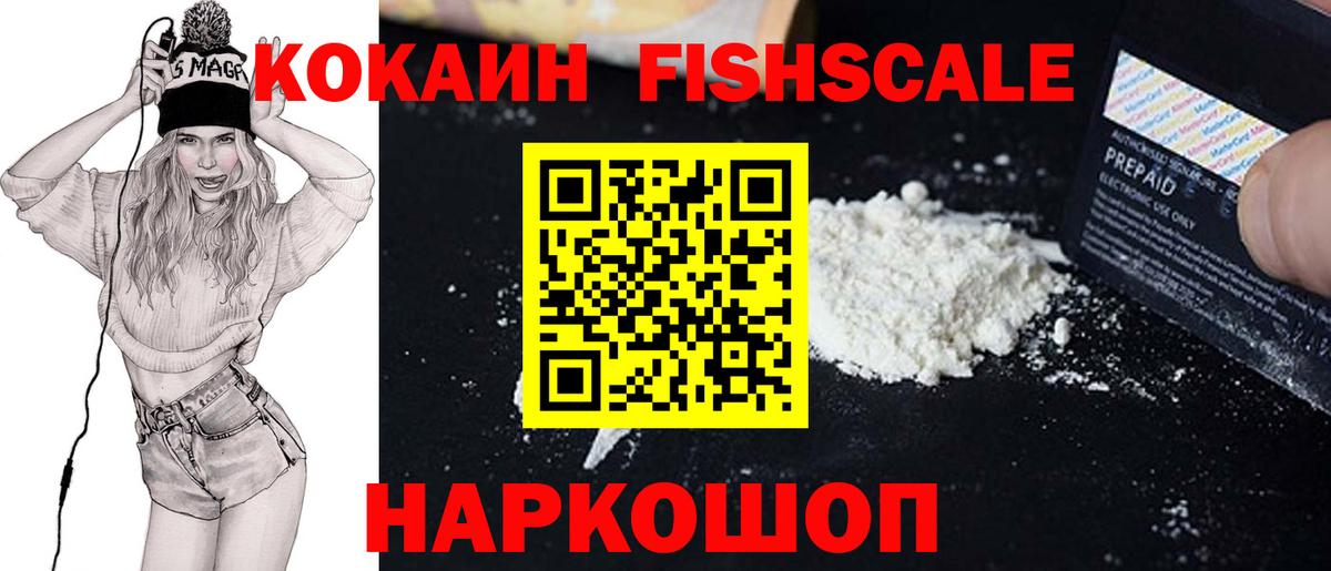 Елец  Cocaine Fish Scale  COCAIN 99%  Вход с VPN 