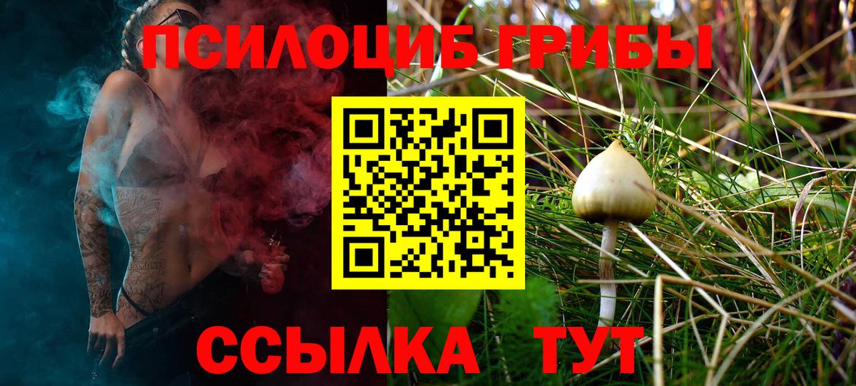 Елец  Псилоцибиновые грибы Cubensis  Вход с VPN  Галлюциногенные грибы ЛСД 
