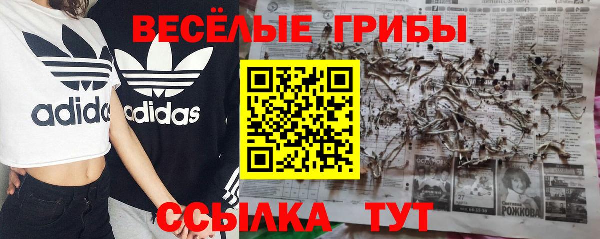 Псилоцибиновые грибы прущие грибы Елец